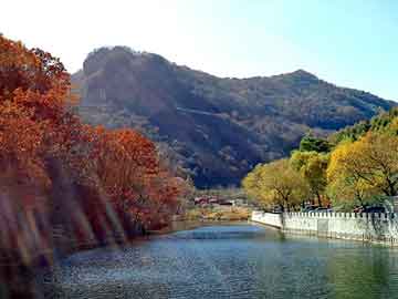 天天彩好彩天天免费，营山整站优化